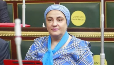 برلمانية تدعم تصريحات وزير الخارجية بشأن “الفيتو” وتطالب بإلغائه: لا يصلح لـ5 دول فقط