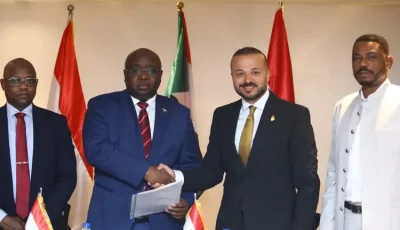 85% من منجم أركيديا.. «ديب ميتالز» تقتنص حصة استراتيجية في السودان