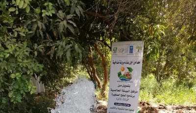 مشروع “القرية الخضراء” بالأقصر.. نموذج لبناء مرونة مناخية في الريف المصري