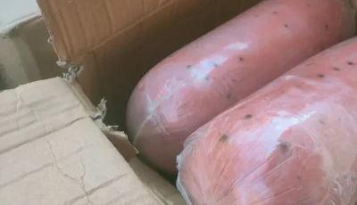 ضبط ربع طن لانشون بقرى وبرجر وسجق منتهي الصلاحية بالأقصر