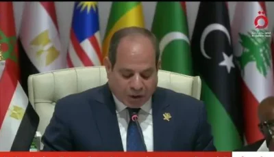الرئيس السيسي: أمن وسلامة إسرائيل لن يتحققا بسياسات القوة