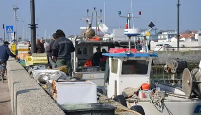 ميناء رافينا الإيطالي يغلق أبوابه أمام الأسلحة المتجهة إلى إسرائيل