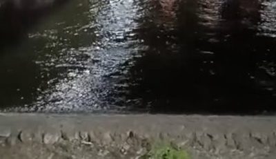 انتشال جثمان شاب غرق بترعة الإبراهيمية في أسيوط| بث مباشر