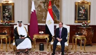 وزير الخارجية ينقل رسالة تضامن من الرئيس السيسي إلى أمير قطر