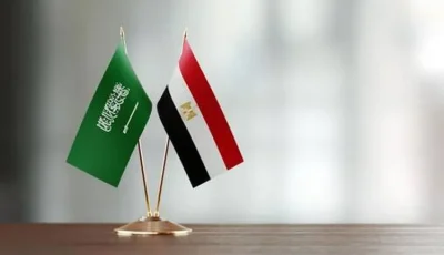 وزيرا خارجية مصر والسعودية: العدوان الإسرائيلي على غزة انتهاك جسيم للقانون الدولي