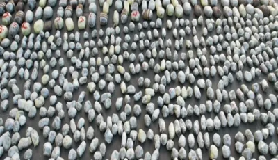 الأمن يوجه ضربة قاصمة لتجار المخدرات.. ضبط نصف طن حشيش وهيدرو بـ52 مليون جنيه