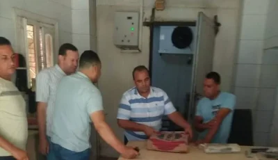 ضبط 197 كيلو دواجن ولحوم مجهولة المصدر بكفر الشيخ