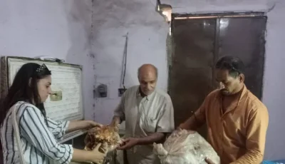 ضبط أكثر من طن ونصف لحوم غير صالحة للاستهلاك الآدمي خلال حملة مكبرة بالمنيا