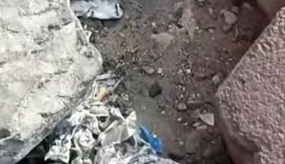 بعد فيديو تهالك جزء من رصيف كوبري ستانلي.. محافظة الإسكندرية تشكل لجنة لمعاينته ووضعه ضمن خطة تطوير 2025-2026