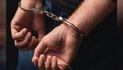 الداخلية تكشف ملابسات فيديو لشخص يتعدى على بعض “الكلاب الصغيرة” بالقاهرة
