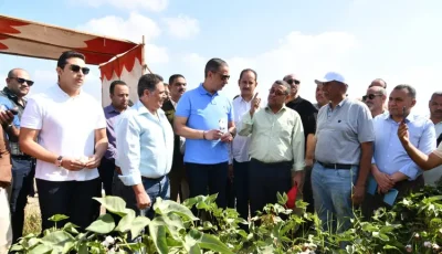 بمناسبة عيد الفلاح الـ73.. محافظ الفيوم يشارك المزارعين فرحة جني القطن بقرية منشاة رحمي