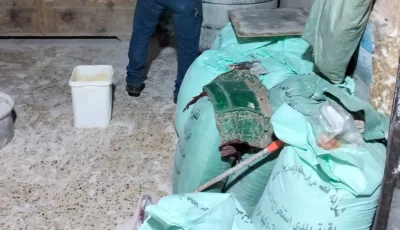 تحرير 28 محضرا لمخالفة الاشتراطات الصحية بالمنوفية