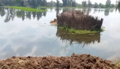 المنوفية تصدر بيانا بشأن احتمالية غرق أراضي طرح النيل