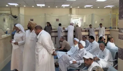 مرسي مطروح تبدأ في تسليم تصاريح موسم صيد الطيور المهاجرة 2025