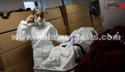 رائحة كريهة تكشف جريمة إنهاء حياه طفلة بالإسماعيلية على يد عمتها